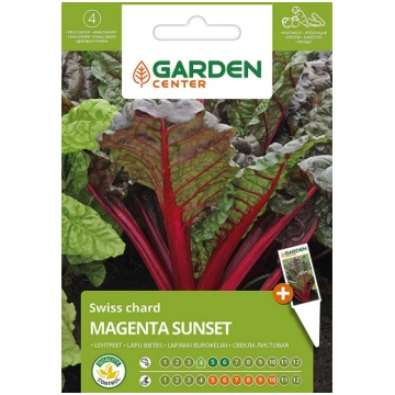 Sēklas Garden Center, galda bietes Magenta Sunset,