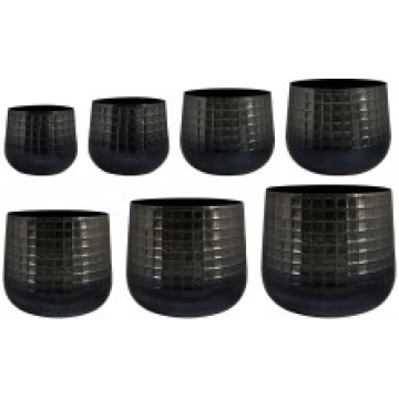 PUĶU PODS JAY 170024 D19 H18 TERSTEEGE