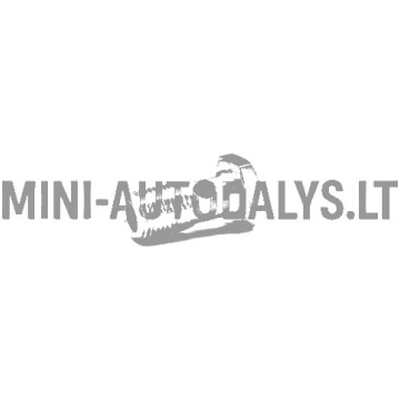 Banjo skrūve degvielas sūknis Lombardini 502 FOCS 