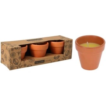 Citronella svece māla podiņā, 3 gab Cits