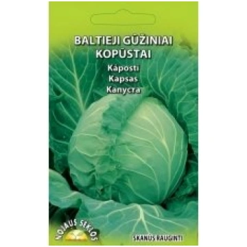 Standart vegetable Sēklas kāposti Brunswick 2g