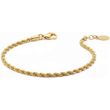 Spyro Anklet Bijuego