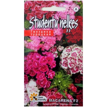 Neļķes studentu Macarena F2 sēklas 0,5gr Kurzemes 