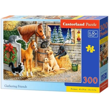 Castorland Puzzle Gathering Friends 300 Pieces (24