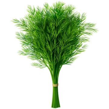 Svaigas dilles 100gr