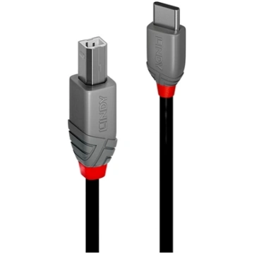 Lindy 2m USB 2.0 Type C to B Cable, Anthra Line 36