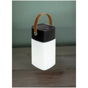 Speaker Lamp with Bluetooth Speaker. Integrated La
