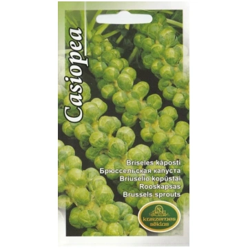 Sēklas Kurzemes sēklas, kāposti Casiopea, 2 g