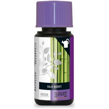 250 ml Amnesia.lt