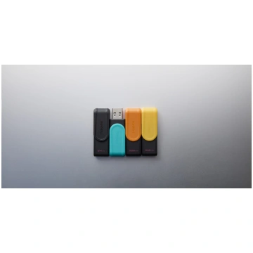 Kingston Technology DataTraveler 256GB Portable US