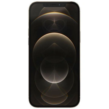APPLE iPhone 12 Pro Max 256GB Gold