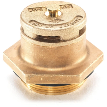 Automātiskais mucu ventilis, vertikālais, 2" BSP