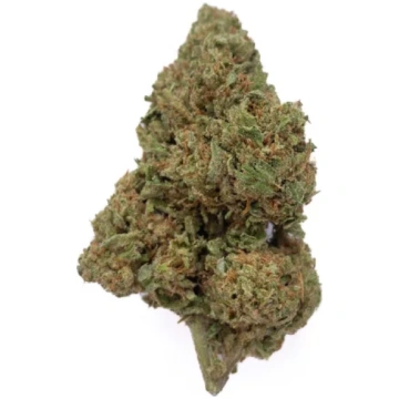 Lemon Haze CBD - NxS - 10g