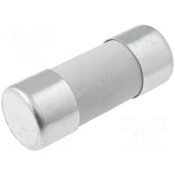 Fuse: fuse | gG | 40A | 690VAC | ceramic,cylindric