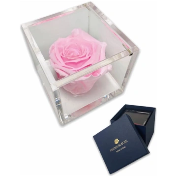 Passionefiori.it S 1085 Luksusa roze Stabilizēta ī