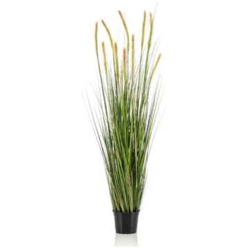 Lietots - Foxtail grass 150cm mākslīgās smilgas