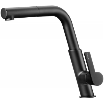 Kitchen faucet with pull-out spout deante BQS_N73M