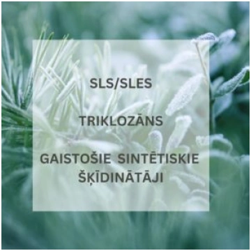 Netīrais ducis, kas tas ir