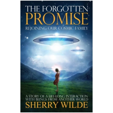 Forgotten Promise Bookshop