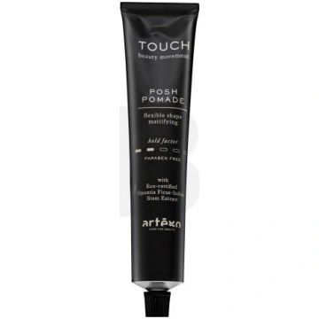Artègo Touch Posh Pomade Flexible Shape Mattifying