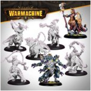 Steamforged games ltd. Warmachine - Khymaera Shard
