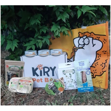 KITTY BOX JULI Kiry Pet