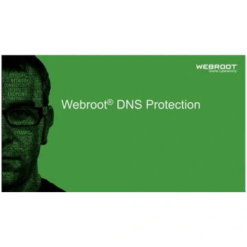 Webroot | DNS Protection with GSM Console | 2 year