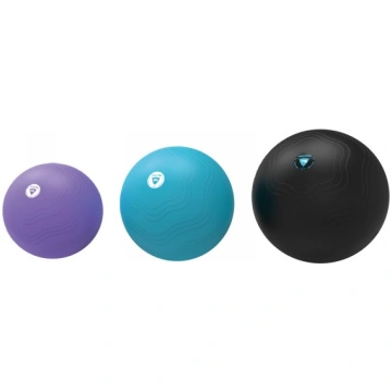 LIVEPRO Gymnastics Ball 55 cm
