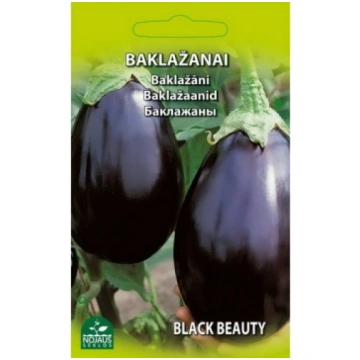 Baklažāns BLACK BEAUTY 1g