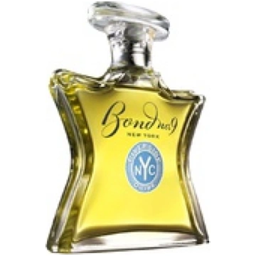 Bond Riverside Drive EDP 100ml 0888874000728