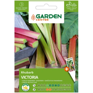 Sēklas Garden Center, rabarberi VICTORIA, 1 g