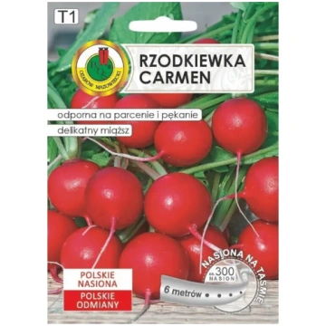 Sēklas Apte Rzodkiewka CARMEN — poļu redīšu šķirne