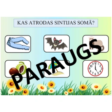 Kas atrodas Sintijas somā? Skaņas S automatizēšana