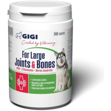Gigi Activet / Large Strong Joints & bones - Papil