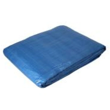 FASTER TOOLS Tents /pārklājs, brezents 65g 6x8m