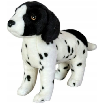 Dubi Pies angielski pointer stojacy 28cm 32157 590