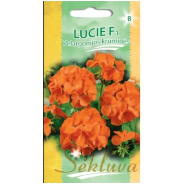 Pelargonijas Lucie F1 5s