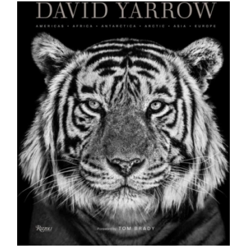 David Yarrow Photography, Americas Africa Antarcti