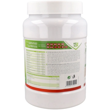 Protein Mega Soya Soy Protein 1 Kg
