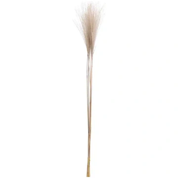 DEKORATĪVĀ POMPA ZĀLE 90CM H&S for Mondex