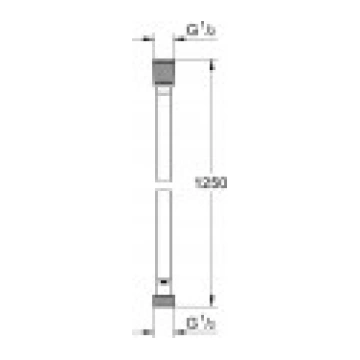 Grohe dušas šļūtene SILVERFLEX 1250mm. Fantoma mel