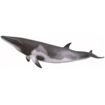 Collecta figūra Minke vaļa (modelis 004-88862) — r
