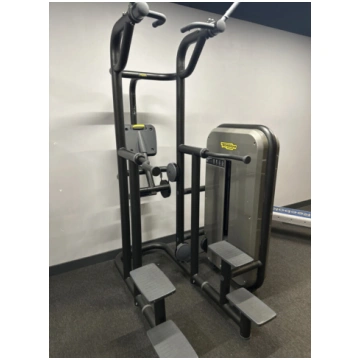 Kneeling Easy Chin Dip Technogym