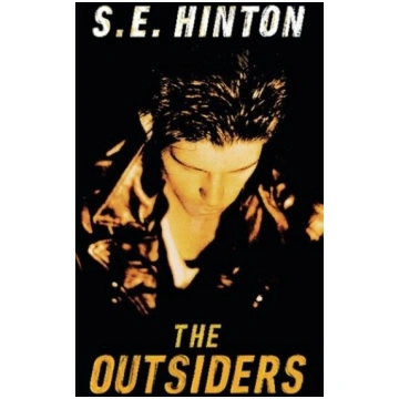 The Outsiders: Für das Niveau B1, ab dem 5. Lernja