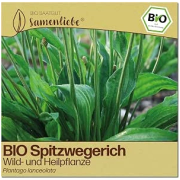 Samenliebe Organic Plantain Seeds, Medicinal Plant