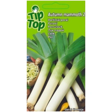 TIP TOP PURAVI (Autumn mammoth 2 )