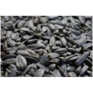 Saulespuķu sēklas 20kg Frend"s food 4751004142284