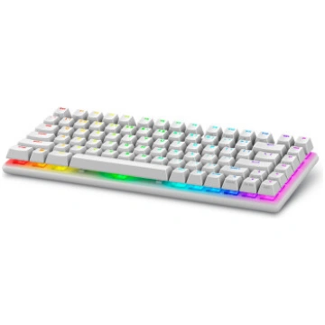 Alienware Pro Wireless Gaming keyboard USB + RF Wi