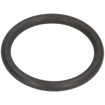 BOSCH Blīvgredzens F 00R J01 950