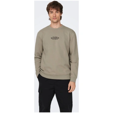 ONSCELEBRITY Sporta krekls ONLY & SONS